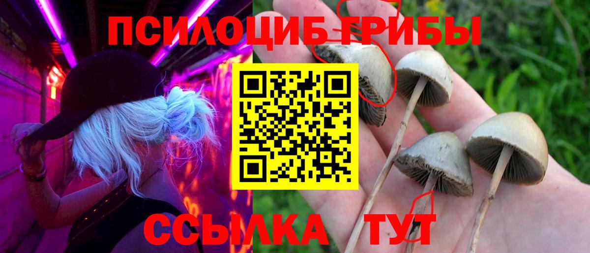 Галлюциногенные грибы мицелий Чебаркуль