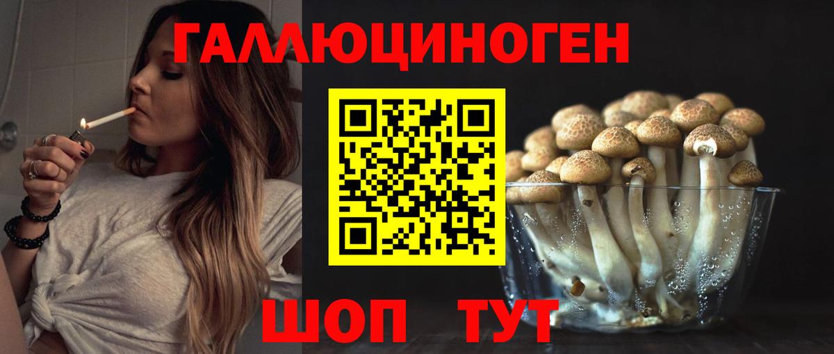 Галлюциногенные грибы Cubensis  Вход с VPN  Чебаркуль 
